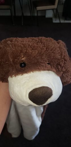 Dog Halloween Costume