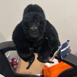 Disneys  Mighty Joe Young