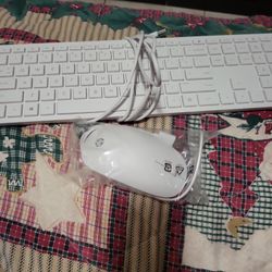 NEW HP KEYBOARD AND MOUSE