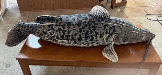 Stuffed  Shark.