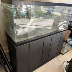 100 Gal Fish Tank Set