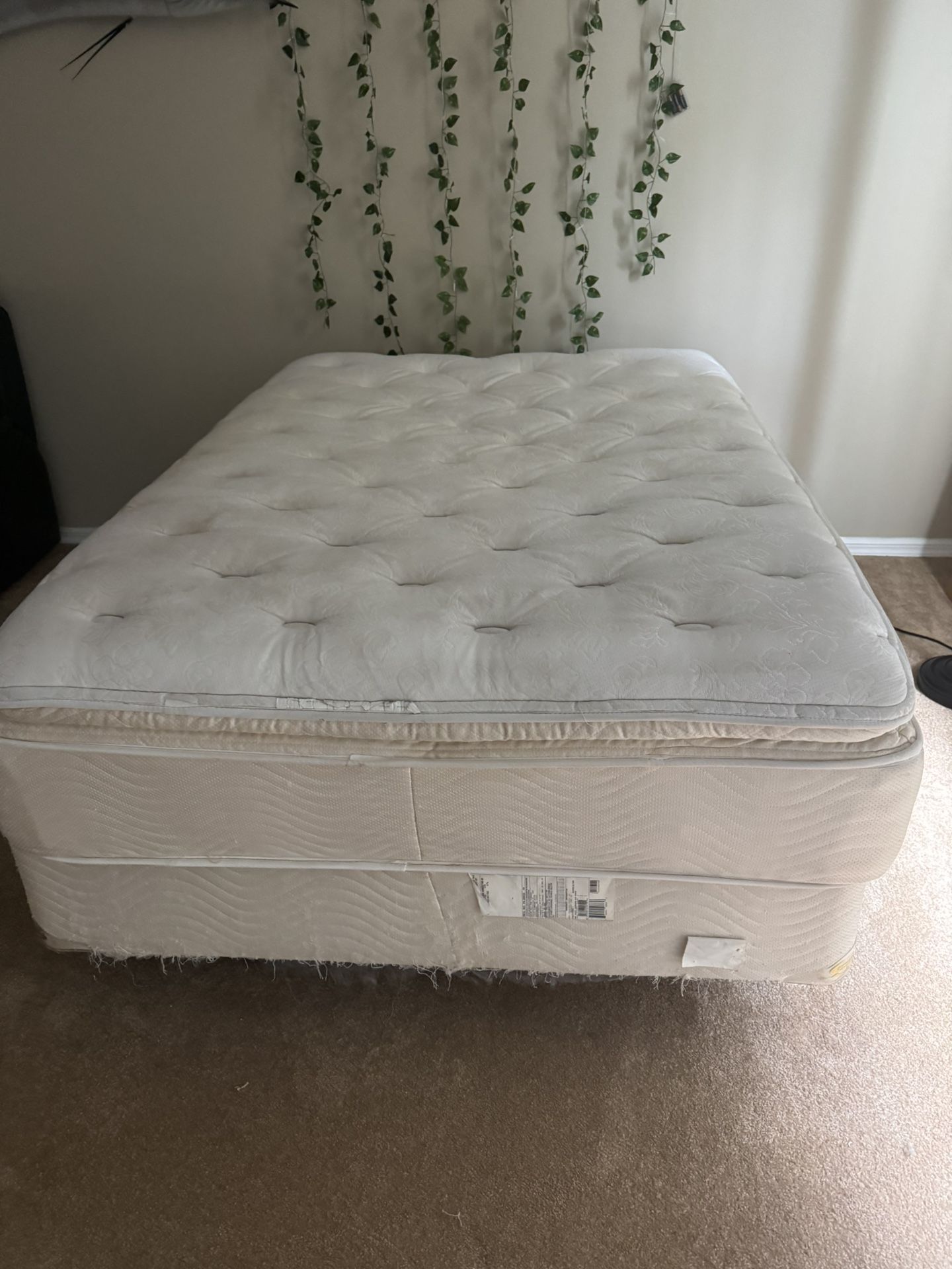 Beauty Rest Full Mattress Box Spring & Frame