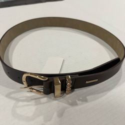 Steve Madden Brown Belt Gold Hardware NEW