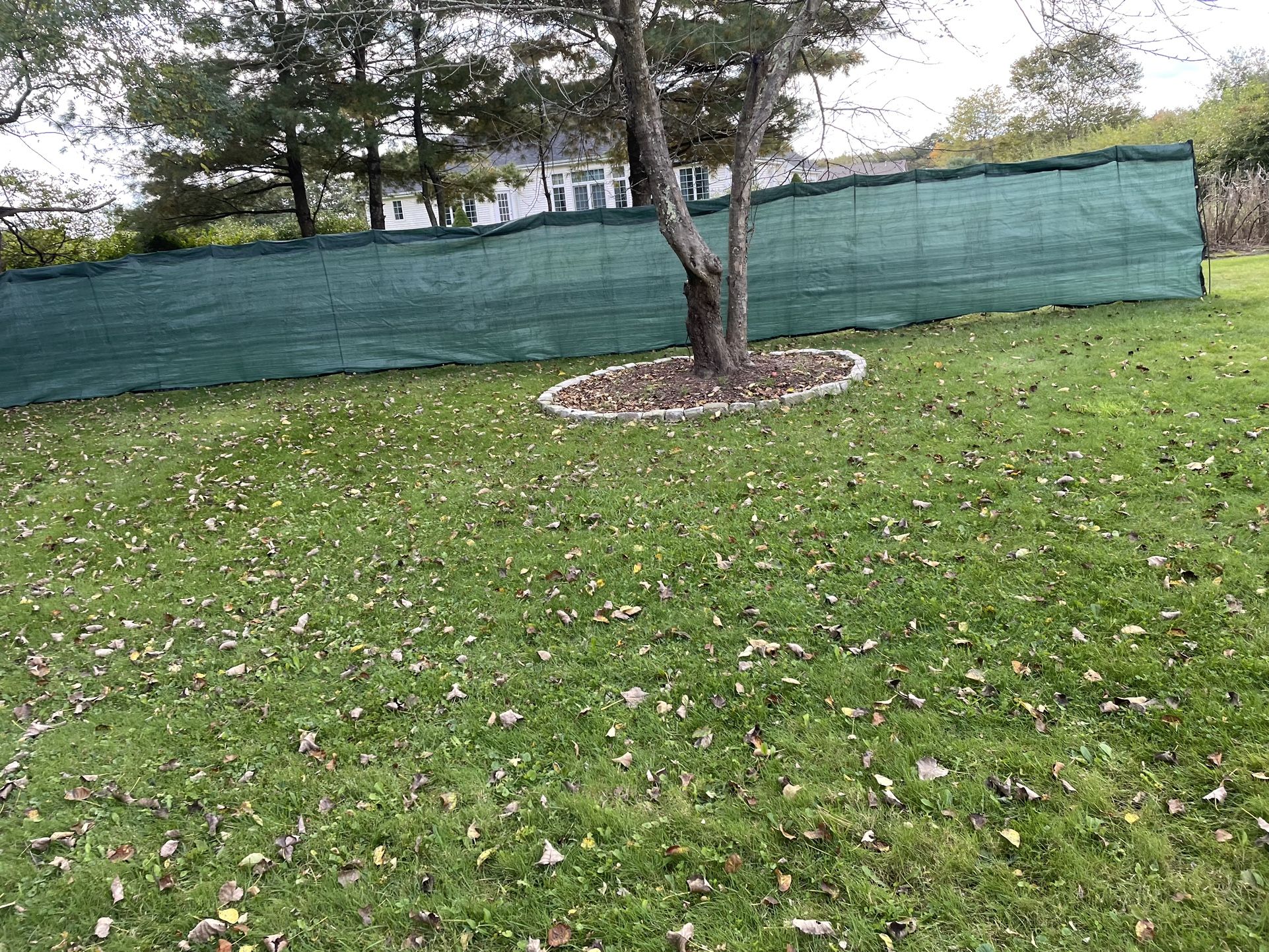 50 Feet Privacy Fence It Come With Sticks