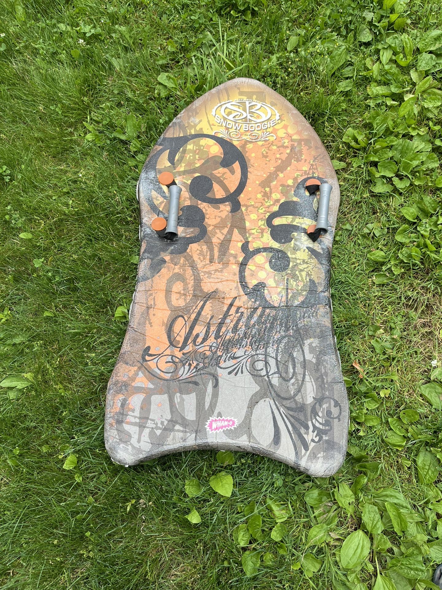 Snow Sled
