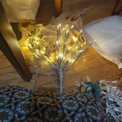 Bransh Light  Decoration