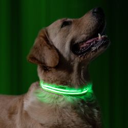 Led Light Dog Collar