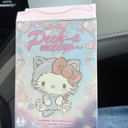 hello kitty peek a meow
