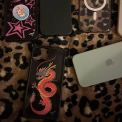 iPhone 15 Plus Cases