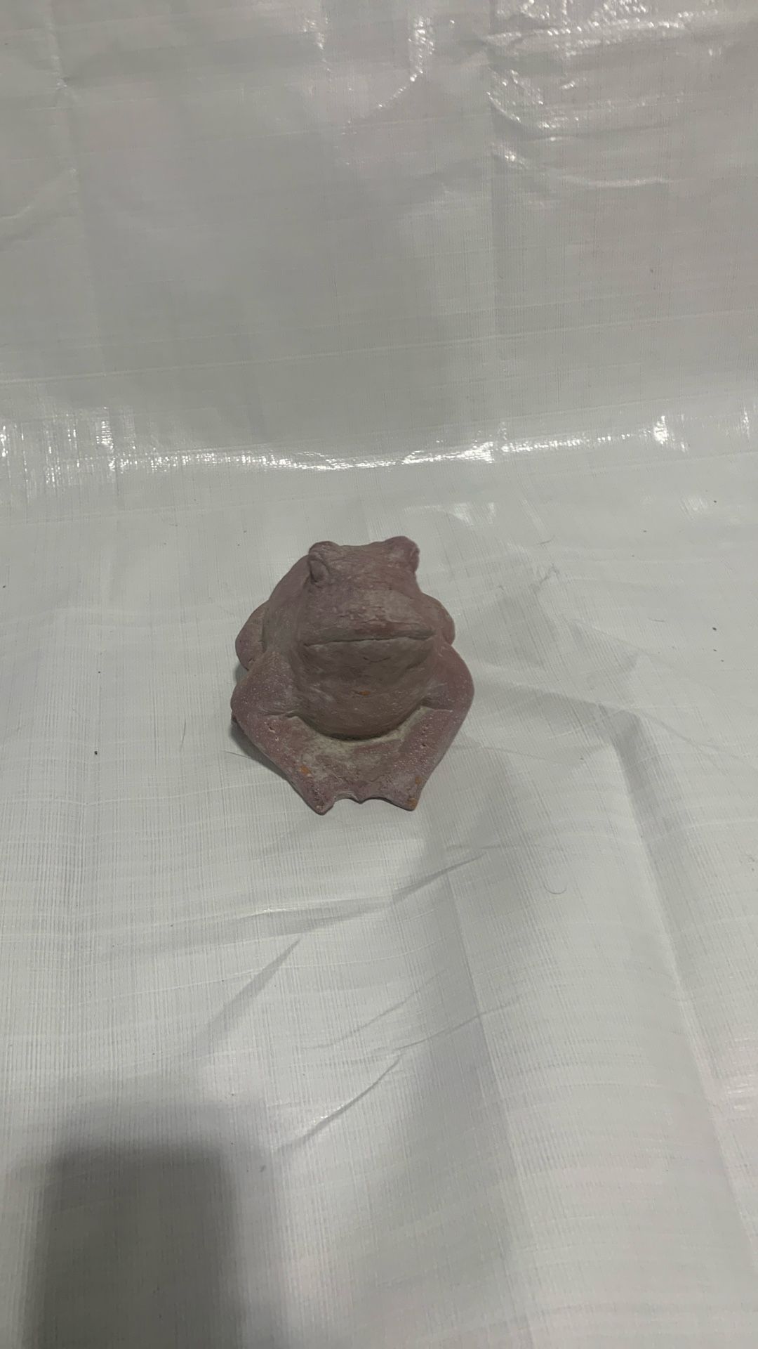 Ceramic frog