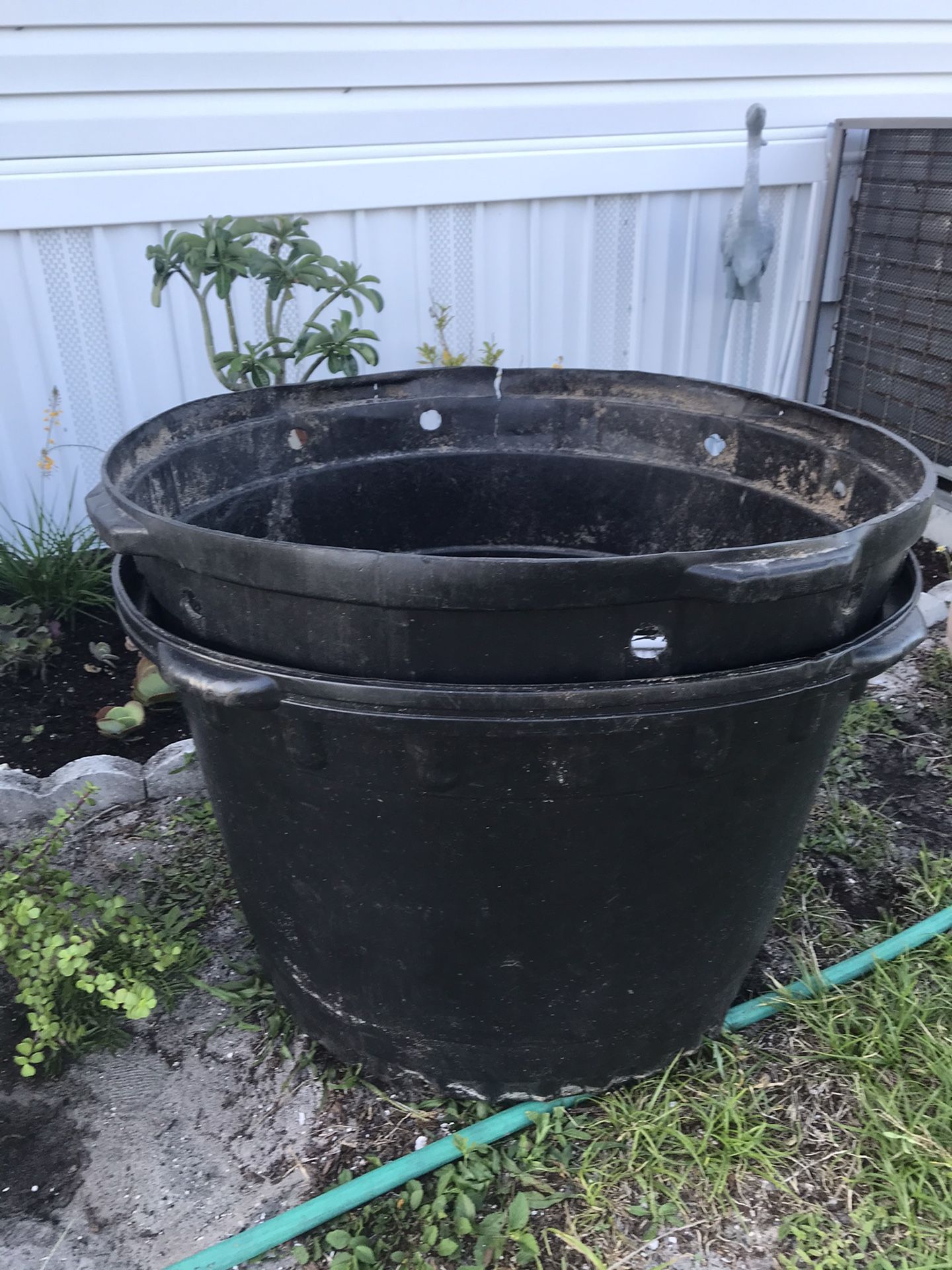 2 GIGANTIC. 50 gallon plastic plant pots