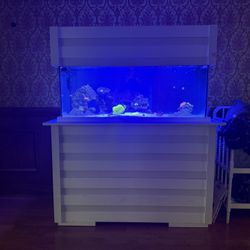 As Is 75 Gallon Salt Water All In One 