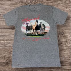 Stagecoach 2015 Country Music Festival Tee Shirt Small