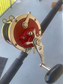 Fishing Combo, Trolling Rod, Yellow Tail, Calico Bass, all Species , Jigging, YoYo, Casting