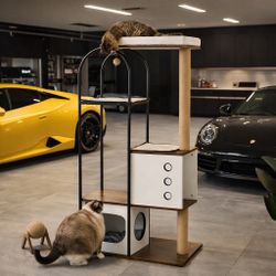 60" Wood Cat Condo for Adult Cats, Cat Tree Tower with Scratcher Post, Climb Cat Tree House for Indoor Cats, White