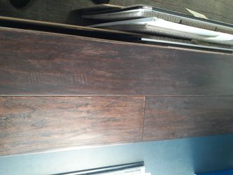 Hickory 5 Inch