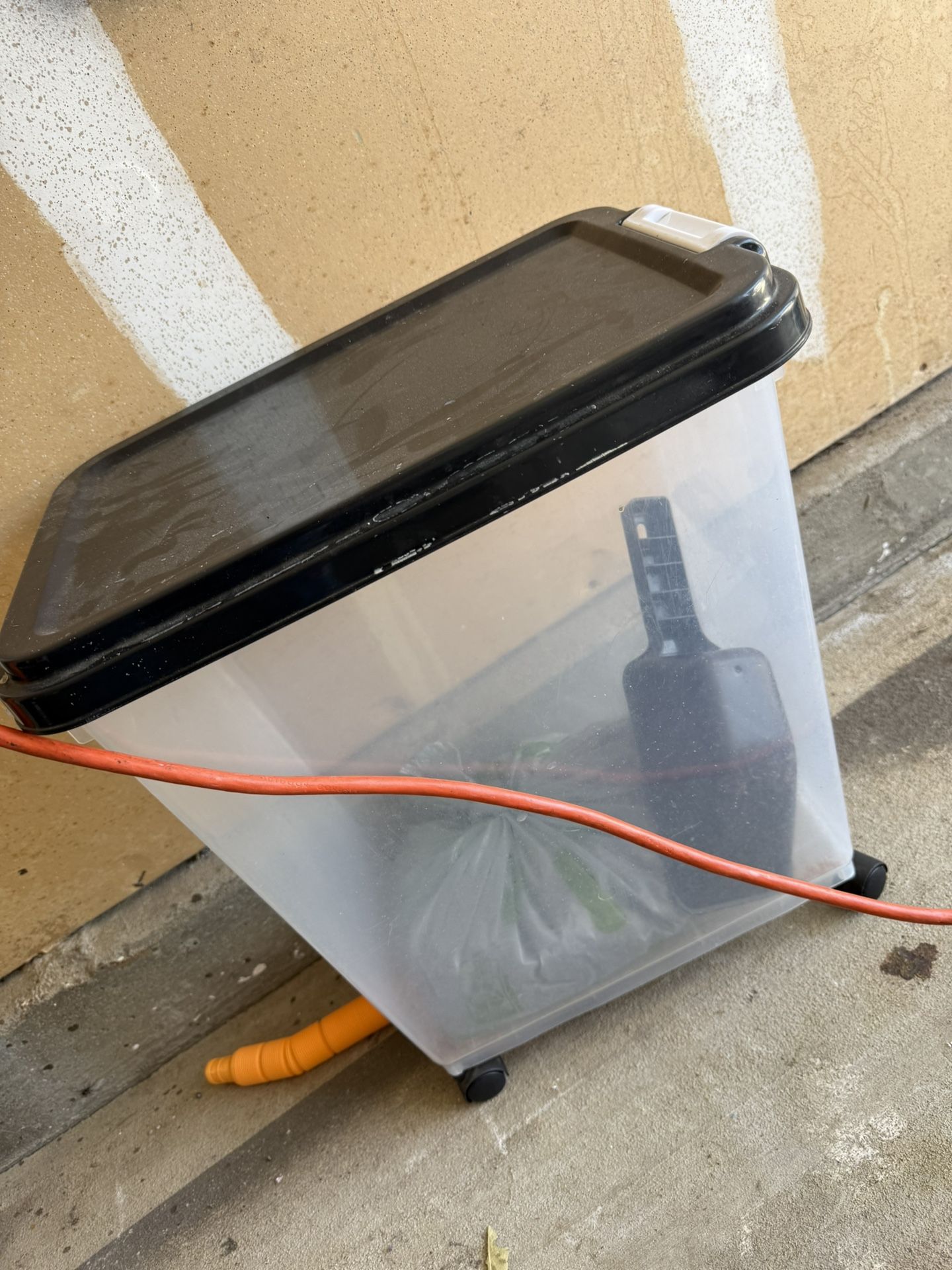 Dog Container