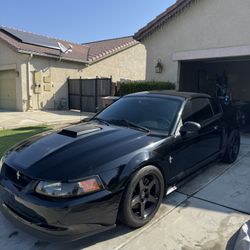 2003 Mustang MACH 1