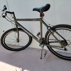 Cannondale M300 CAD2 Gray