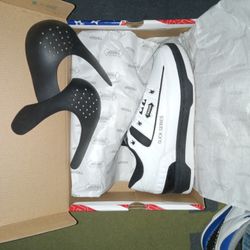 Jordan (TROOP)slick Series Size 11 NEW