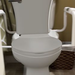 MOEN Glacier Toilet safety rails