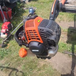 Echo Pole Saw $250