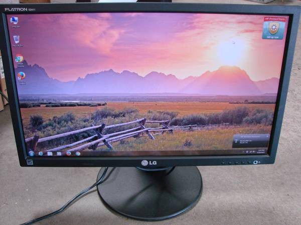 LG 24" LED IPS LCD 1080P Computer Monitor no stand

