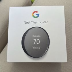 Google Nest New 