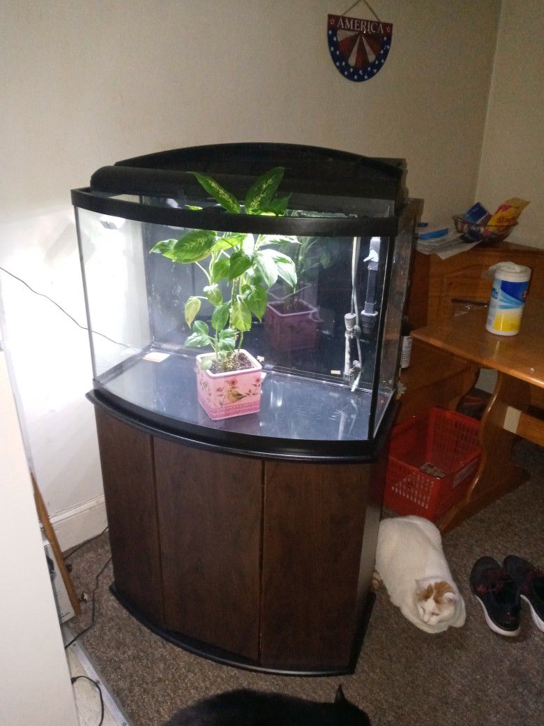 30 Gallon Bowfront Aquarium Fish Tank With Stand !!!  