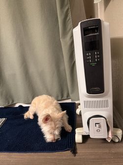 Portable heater DelongHi