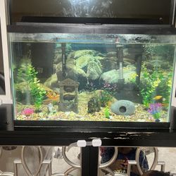 Aquarium 