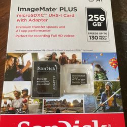 Sandusky Memorie Card 256 Gb