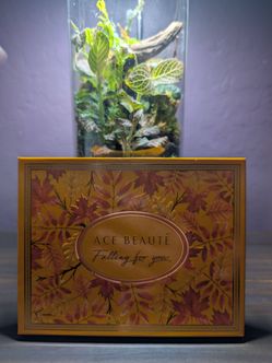 ACE BEAUTE Falling for you Palette