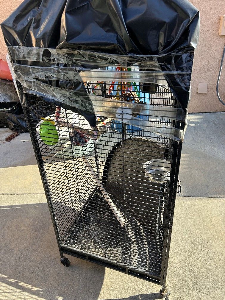 Bird Cage For Birds