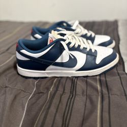 dunks size 11