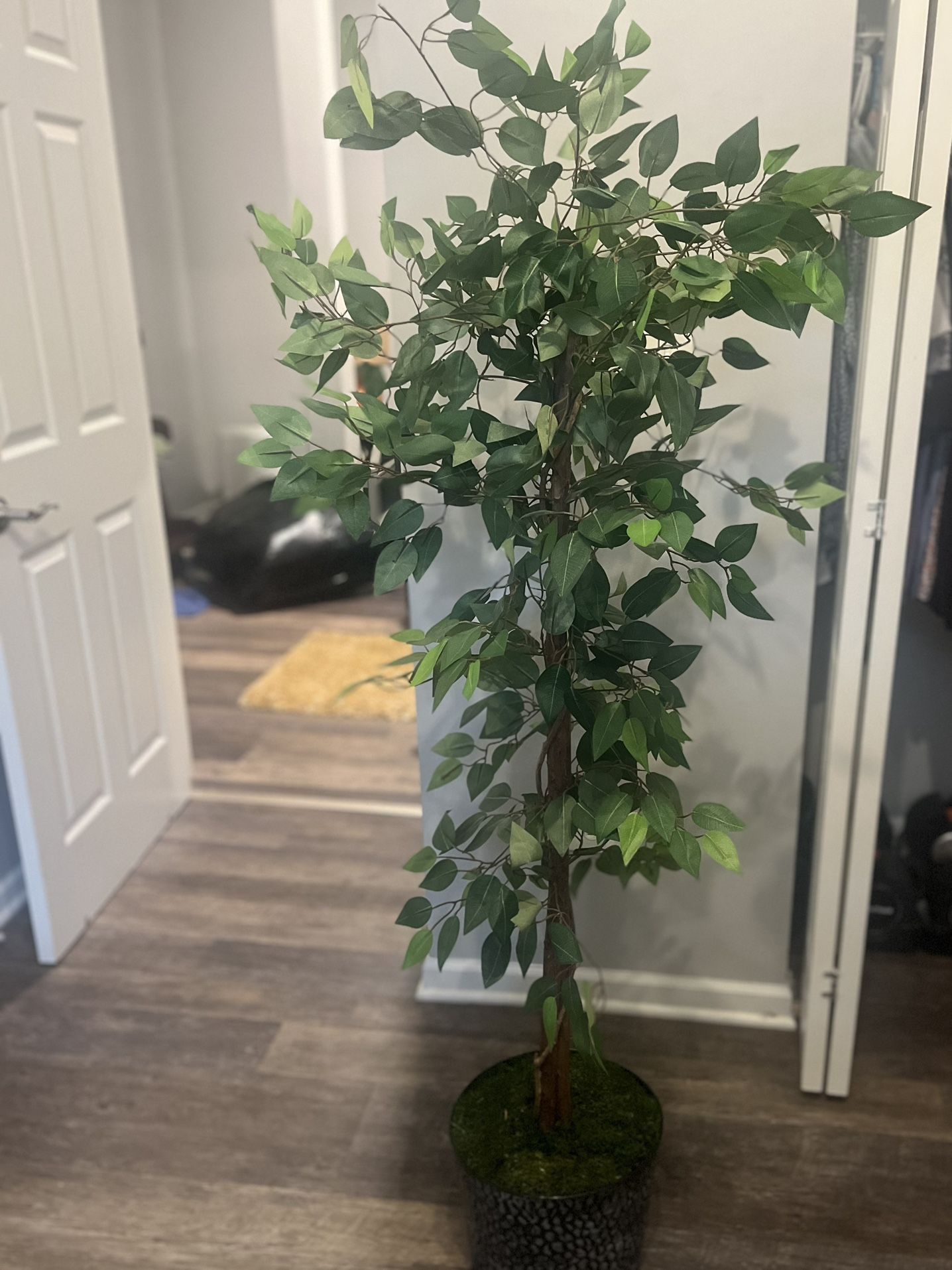 Tall Artificial Ficus Tree in Decorative Pot – 5ft