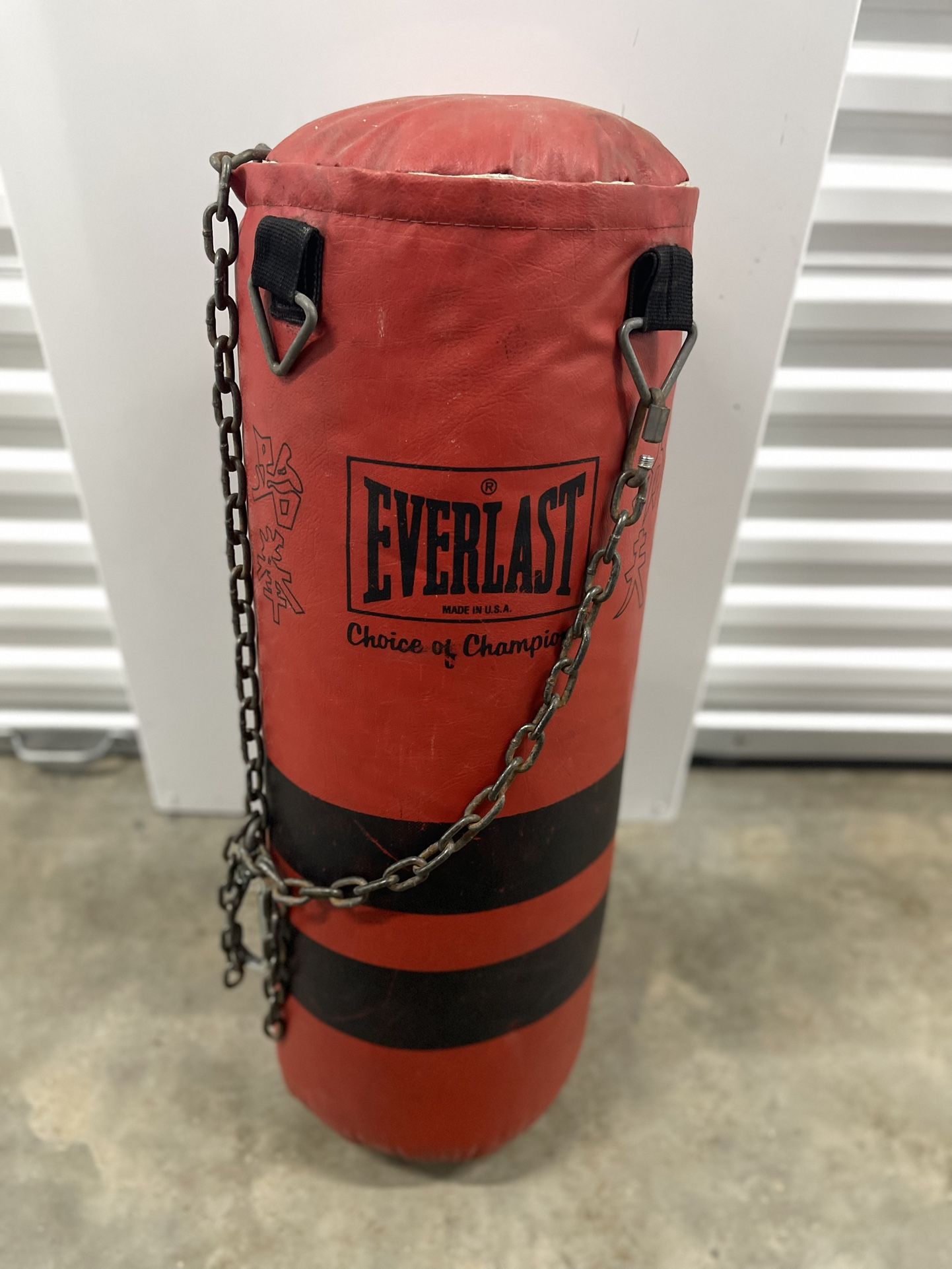 Everlast punching Bag
