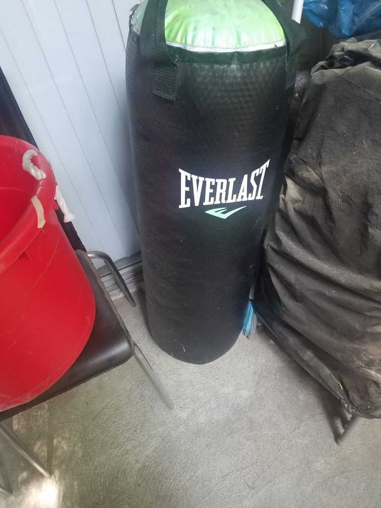 Everlast punching bag