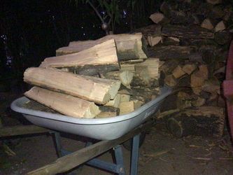 FireWood (Maple Wood)