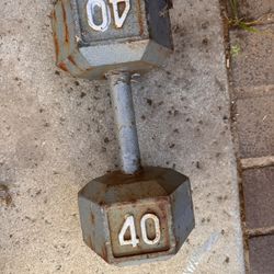 40 Pound Dumbbells 