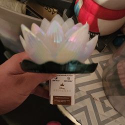 Tiana Wallflower Bath and Body Works