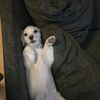 Sam