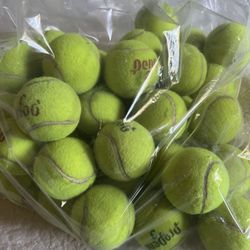 Used Tennis Balls. Over 30