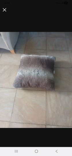 Throw Pillow