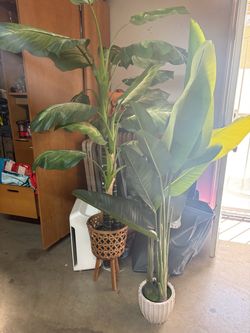 Artificial plants