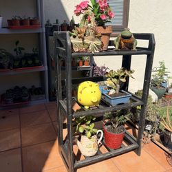 Plant Stand or Shoe Rack Used As-Is (Northridge)