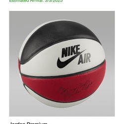 Nike Jordan Premium Basketball 