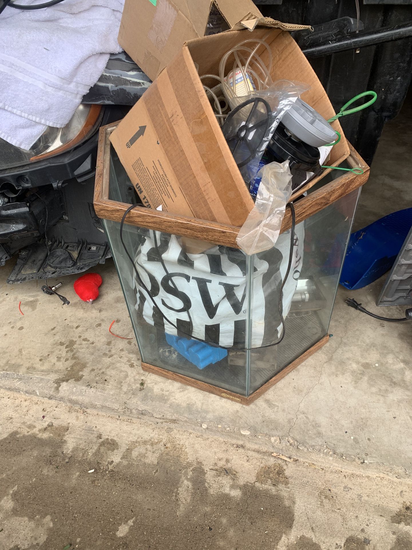 Oceanic Fish For Sale With Accessories $100