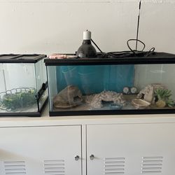 Reptile tanks