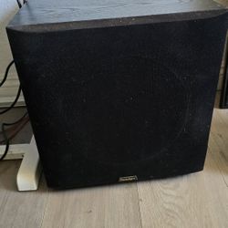 10 Inch Subwoofer